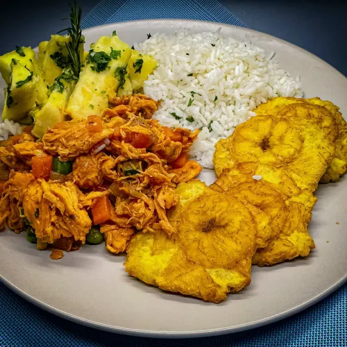 Pollo guisado desmenuzado con vegetales mixtos